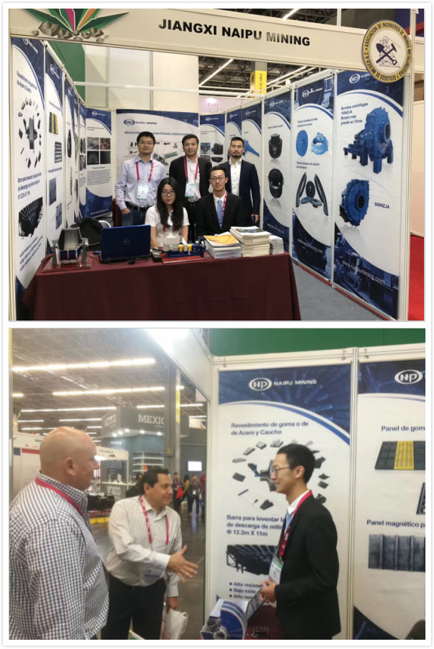 博天堂(918)官方网站 - 让你更精彩